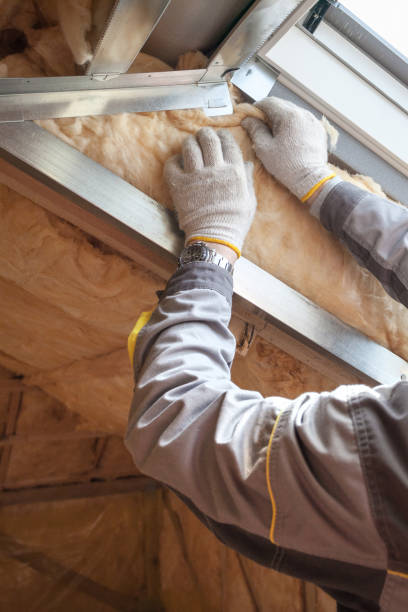 Best Cellulose Insulation  in Star, NC