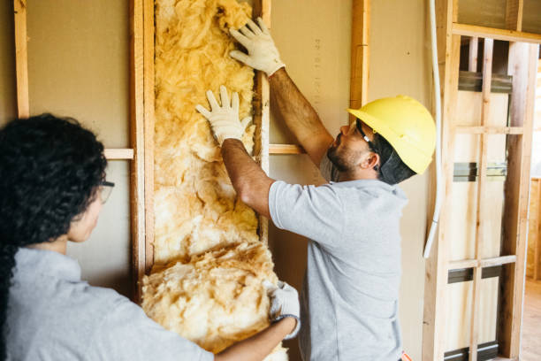 Best Energy-efficient Insulation  in Star, NC