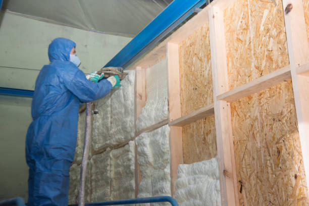 Best Local Insulation Services  in Star, NC
