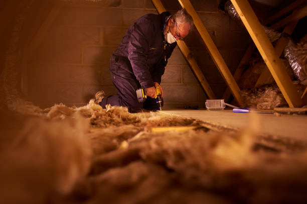 Best Insulation Repair Services  in Star, NC